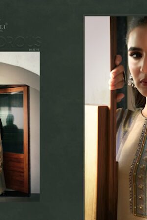 RUPALI EVARA SIMMER TISSUE PRINTED SUITS CATALOGUE 2.jpg