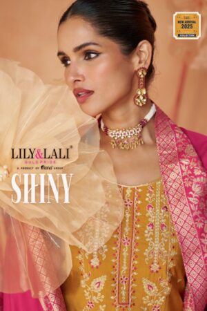 LILY LALI SHINY VISCOSE EMBROIDERY KURTI SUPPLIER 4.jpg