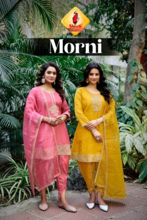SHRUTI SUIT MORNI PURE VISCOSE READYMADE KURTI 5.jpg