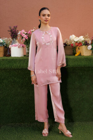 Shivali S4u Petal Pink -Co-ord Set New Arrival 2025 Rehmat Boutique  588.jpg