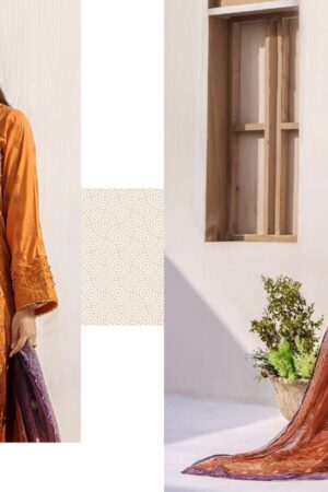 SANIYA TRENDZ ADAN LIBAS CHIKANKARI NX 32 2.jpg