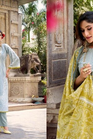 Home Rehmat Boutique Buy Ethnic Suits Online for Weddings BELLIZA NAIRA VOL 118 WHOLESALE 3.jpg