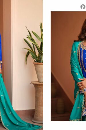 AASHIRWAD MOR BAGH RICHA DESIGNER WEAR DRESS 2.jpg