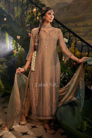 Shivali S4u Mehrnaz-Tissue-Suit Set New Arrival 2025 Rehmat Boutique  116 eea378dd 4940 43e9 825d 0f665b5e2cb8.jpg