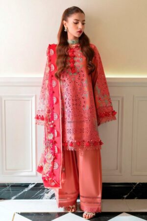 Deepsy Ombre Starlet catalog Chiffon Dupatta pakistani suit hole wholesale market Rehmat Boutique  deepsy ombre starlet catalog chiffon dupatta pakistani suit hole wholesale market 2026 02 04 12 27 3.jpeg