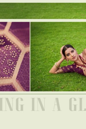 5d designer tana bana vol 4 series 119-124 Silk Organza saree Rehmat Boutique