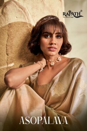 rajpath asopalava series 188001-188006 soft handloom silk wholesale saree Rehmat Boutique
