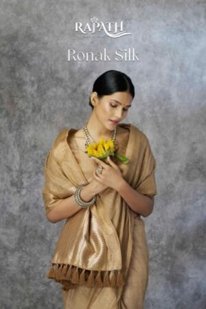 rajpath ronak silk series 640001-640006 tissue silk wholesale saree Rehmat Boutique