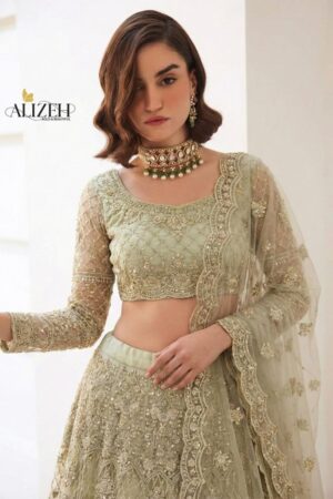 alizeh 1081 butterfly net chaniya choli with dupatta alizeh 1081 butterfly net chaniya choli with dupatta